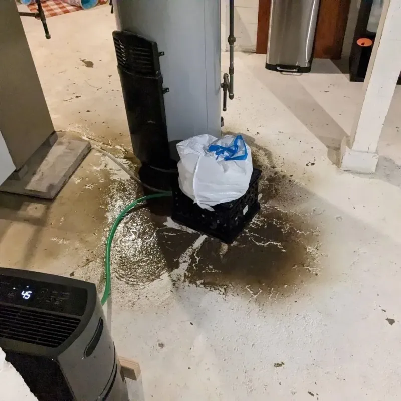 Sewage Backup Cleanup Service in Ordway, CO